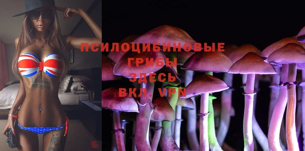 кокс Медвежьегорск