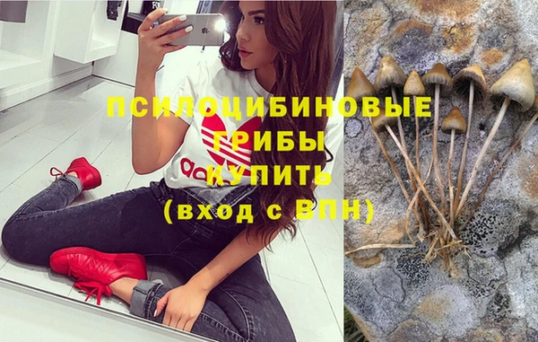 кокс Медвежьегорск