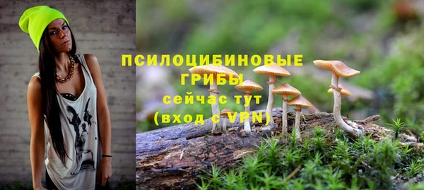 меф Медногорск