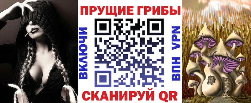 Купить закладки  Карпинск  Галлюциногенные грибы Psilocybe 